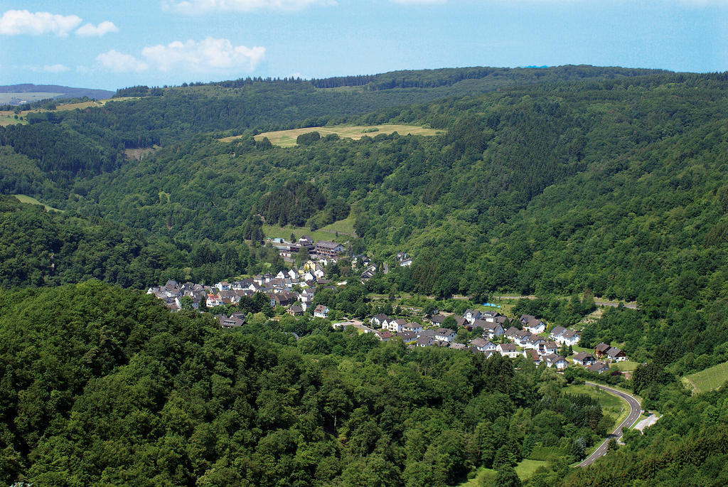 Landhotel Weinhaus Treis Weinaehr Luaran gambar