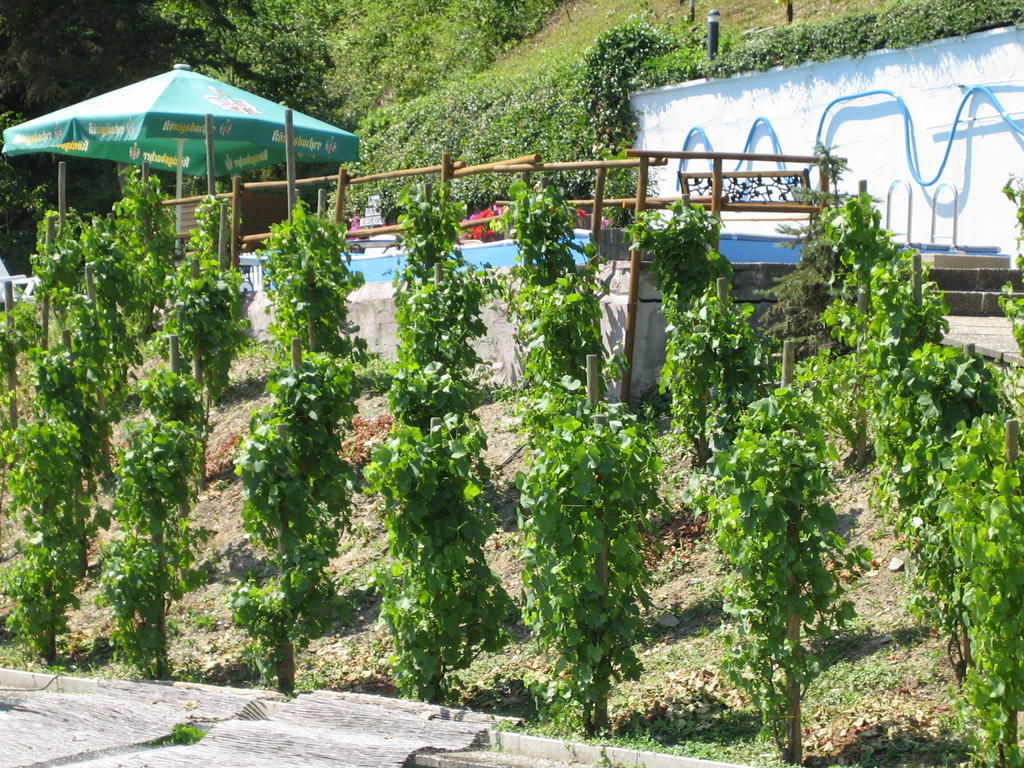 Landhotel Weinhaus Treis Weinaehr Luaran gambar